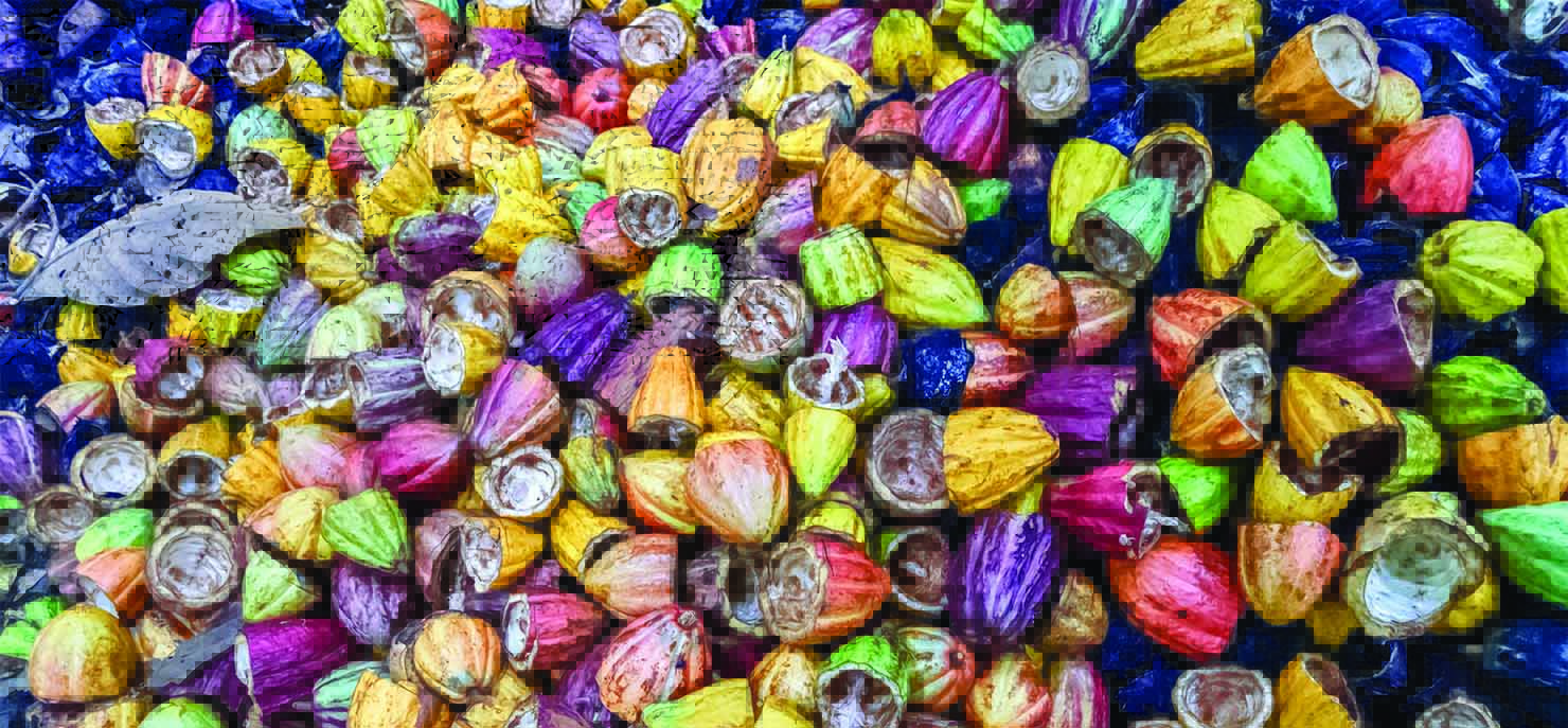 Cacao waste